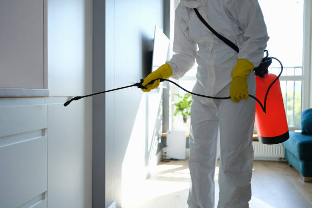 Best Post-Flood Mold Remediation in Laurens, SC